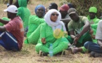 COUMBA NDIAYE, PTE DE L'AACT : "Nous travaillons à l'amélioration des conditions d'éducation islamique des enfants..." 