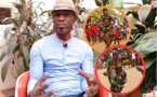 Khalifa Dramé : « Faire de la Casamance un hub touristique en valorisant son potentiel culturel et artistique »