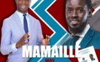 Présidentielle : Le mouvement "Sénégal Nafa" félicite le Président Bassirou Diomaye Faye décerne une mention spéciale à Ousmane Sonko 