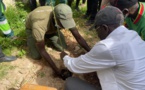 Journée de l'arbre et de nettoiement : Keur-Madiabel a répondu à l'appel du président Diomaye Faye