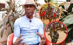 Festival Koo-Koom : Khalifa Dramé veut faire de la Casamance une destination touristique de 500 000 visiteurs par an