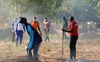  Ziguinchor : La Plateforme "Kandialang Ma Fierté" Engage une Opération de Nettoyage et de Sécurisation