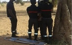 Une femme de 50 ans retrouvée morte pendue à un arbre