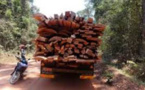 Trois ministres en Casamance contre le trafic de bois : Le Mfdc parle de "grimace politicienne"