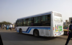 COURSE-POURSUITE, INCONSCIENCE, REMPLISSAGE, ACCIDENTS RÉPÉTITIFS, MUSIQUE À FOND, PORTABLE COLLÉ À L’OREILLE… : LES BUS TATA DE PLUS EN PLUS «FOUS»