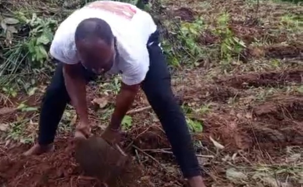 Boutoupa-Camaracounda : le maire Ousmane Sanding donne l’exemple au champ