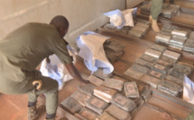 Kidira : La Douane fait une saisie record de 1 137,6  kg de cocaïne