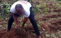 Boutoupa-Camaracounda : le maire Ousmane Sanding donne l’exemple au champ