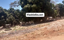 Ziguinchor : Un cimetière à ciel ouvert en plein centre-ville