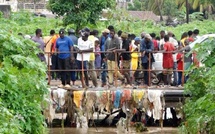 Ziguinchor : Un enfant emporté par les eaux du canal de Korentas